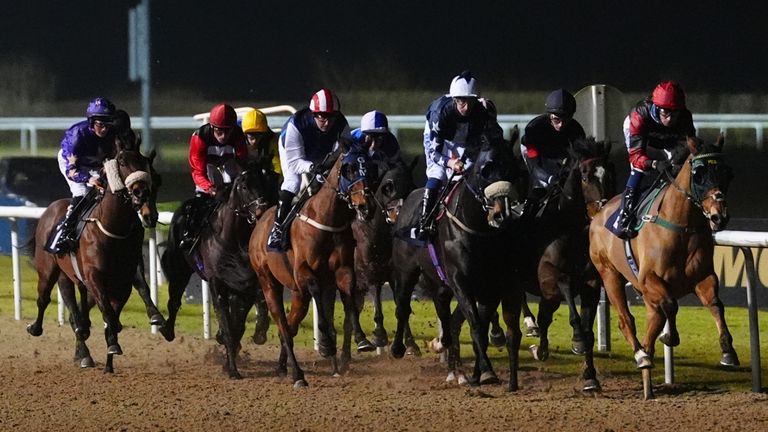 Wolverhampton hosts live racing on Tuesday