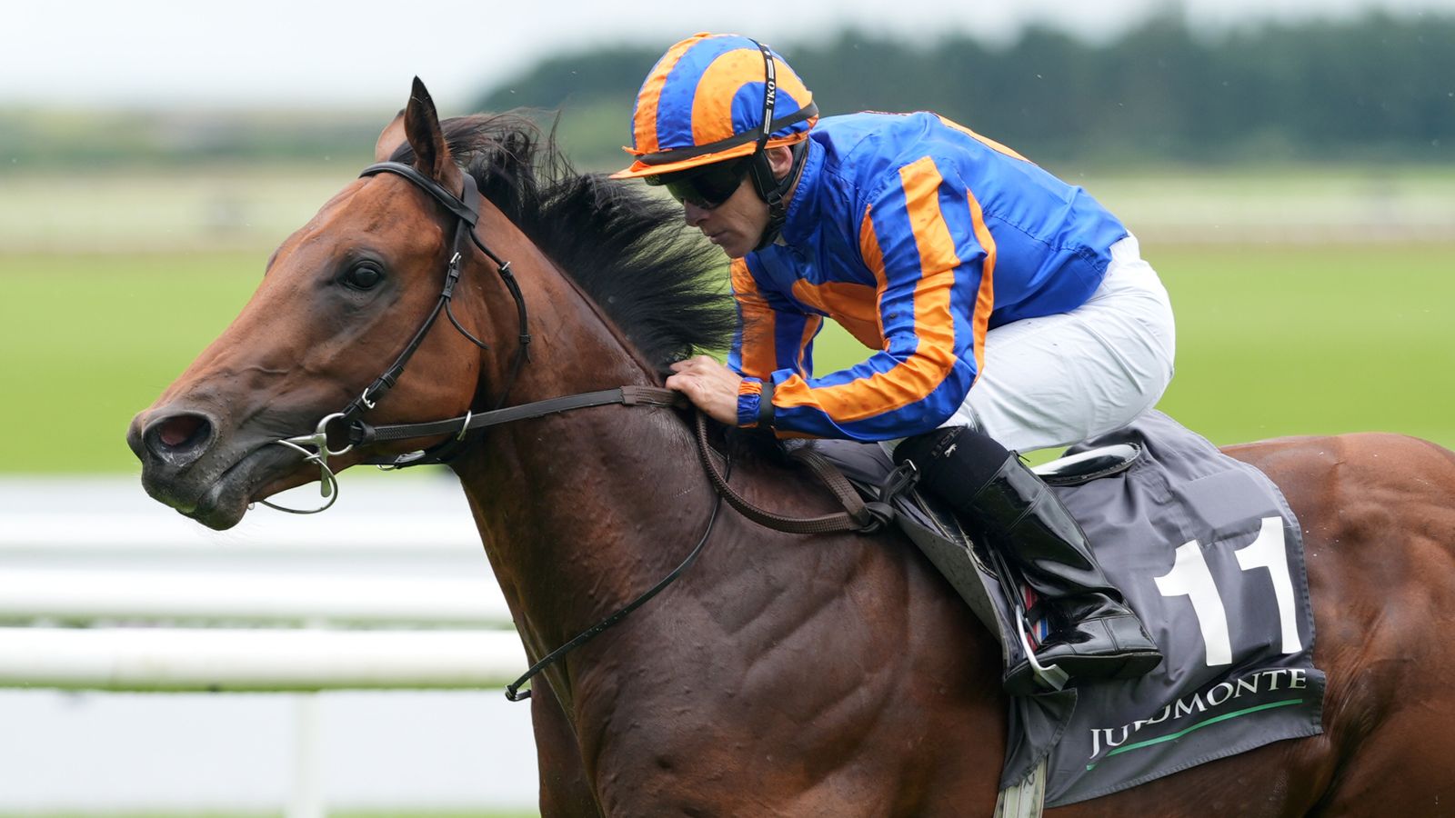 Delacroix heads 19 declared for the Betfred Derby with The Lion In Winter drawn widest of all