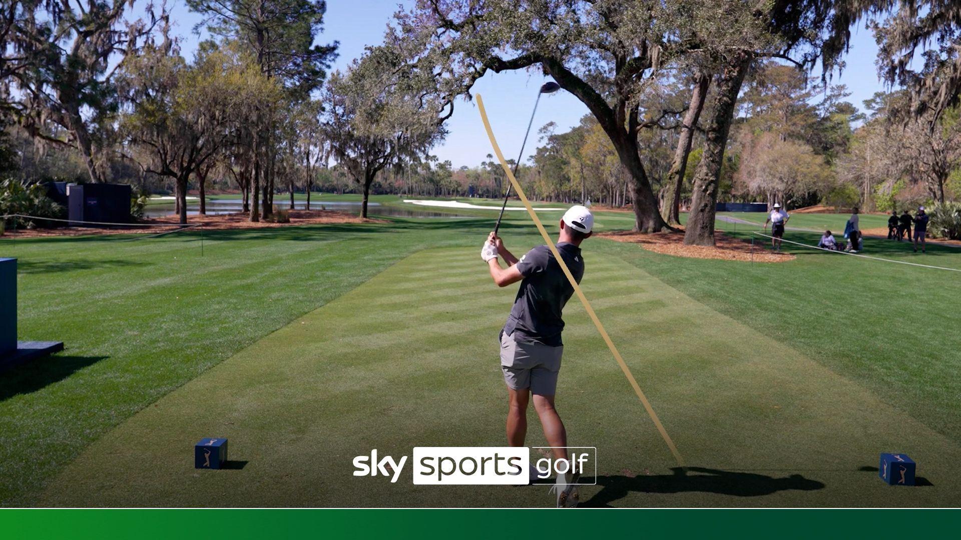 Toughest tee shot in golf? | Fitzpatrick: It's the dumbest tree I've ever seen!