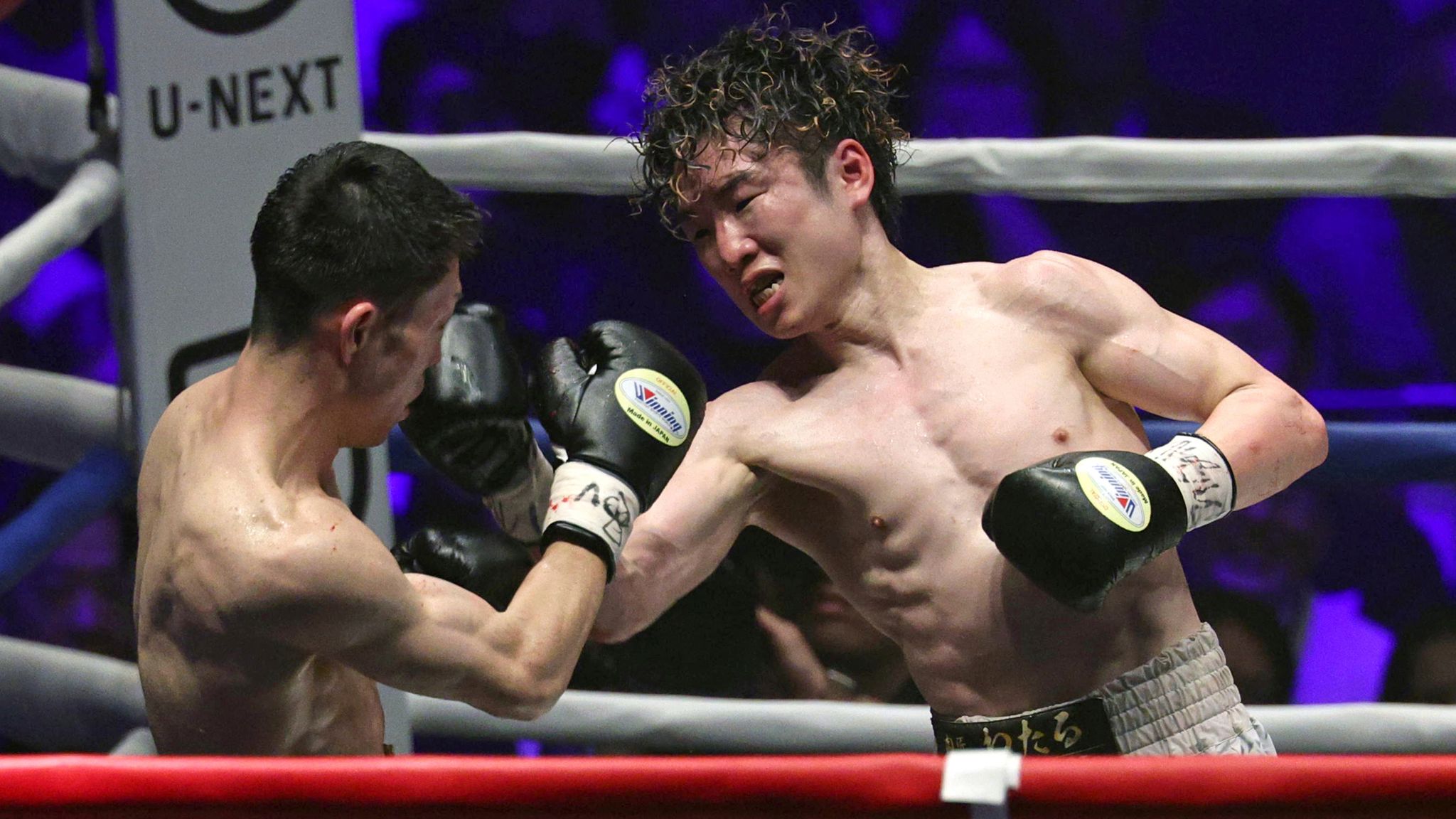 京口紘人 Hiroto Kyoguchi | . . . weight in March 13, 2025
