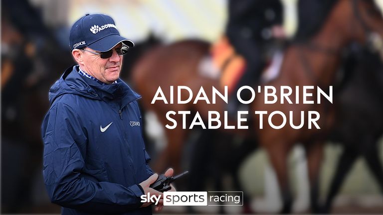 Aidan O'Brien is aiming The Lion In Winter at both the 2000 Guineas and the Derby