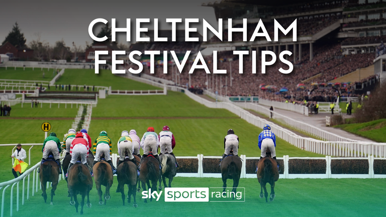 Jamie Codd will be providing daily tips for the Cheltenham Festival