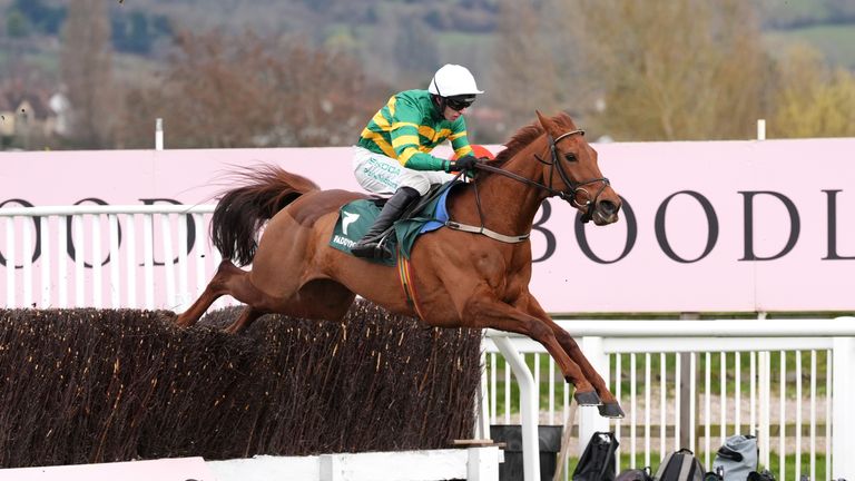 Dinoblue jumps to victory in the Mares' Chase at Cheltenham