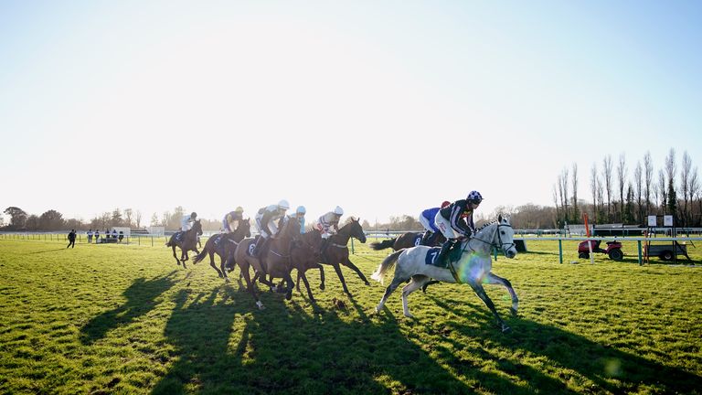 Fontwell hosts live racing