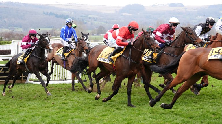 Poniros (blue) in action in the Triumph Hurdle