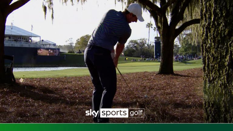 Rory Mcilroy Birdie on 18