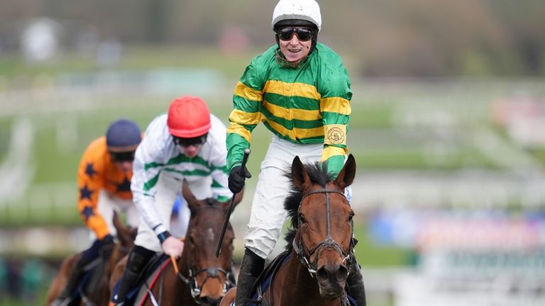 The New Lion, winner of the Turners Novices' Hurdle