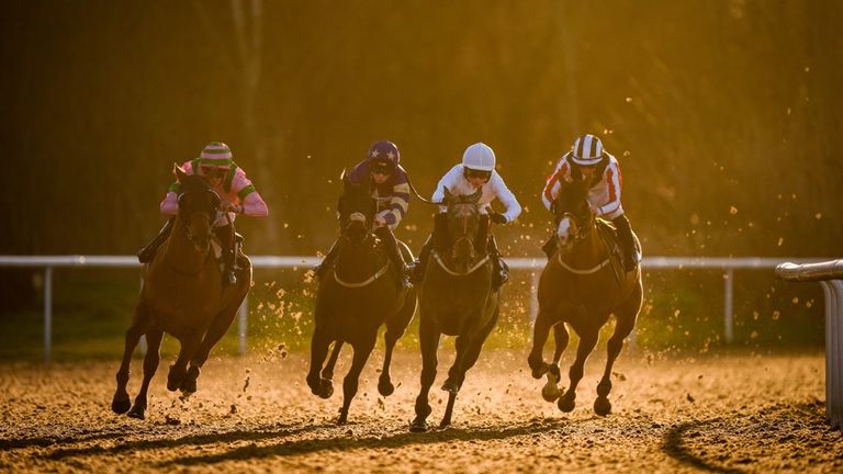 Wolverhampton hosts today's live racing