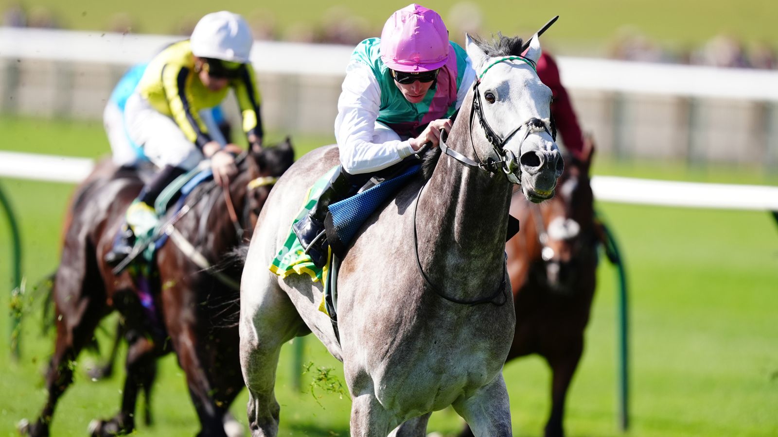 Craven Stakes: Field Of Gold 3/1 favourite for the 2,000 Guineas after dazzling at Newmarket