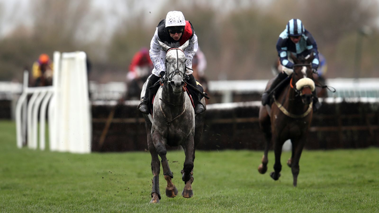 https://e0.365dm.com/25/04/1600x900/skysports-greyval-horse-racing_6889136.jpg?20250417160942