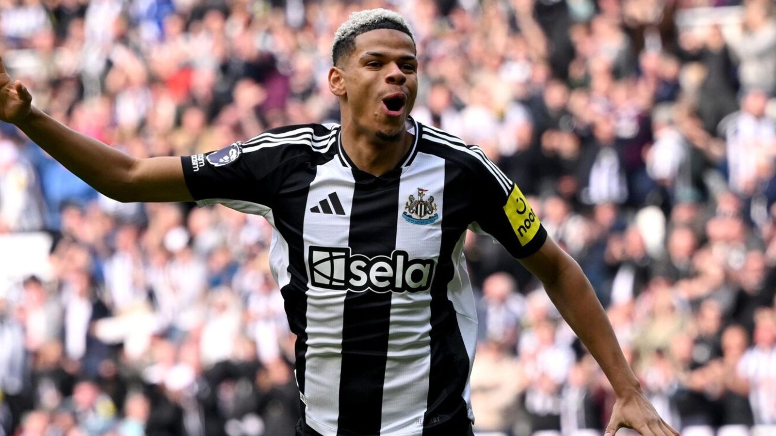 Newcastle vs Ipswich LIVE! Premier League match updates, news and score