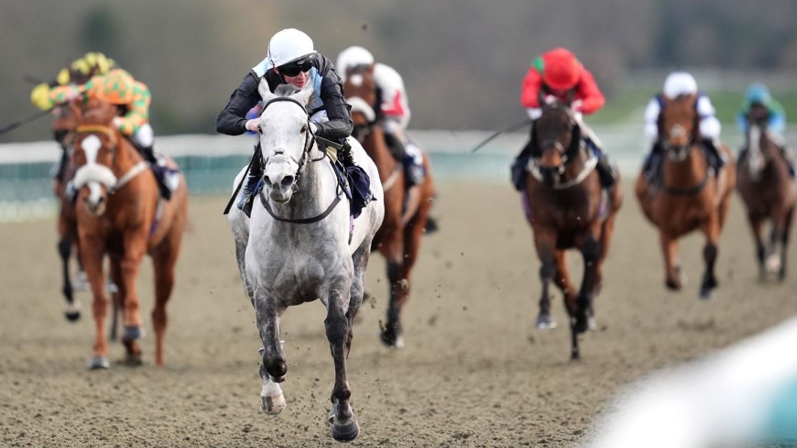 Newcastle tips: Declan Rix's best bets for All-Weather Championships Finals Day