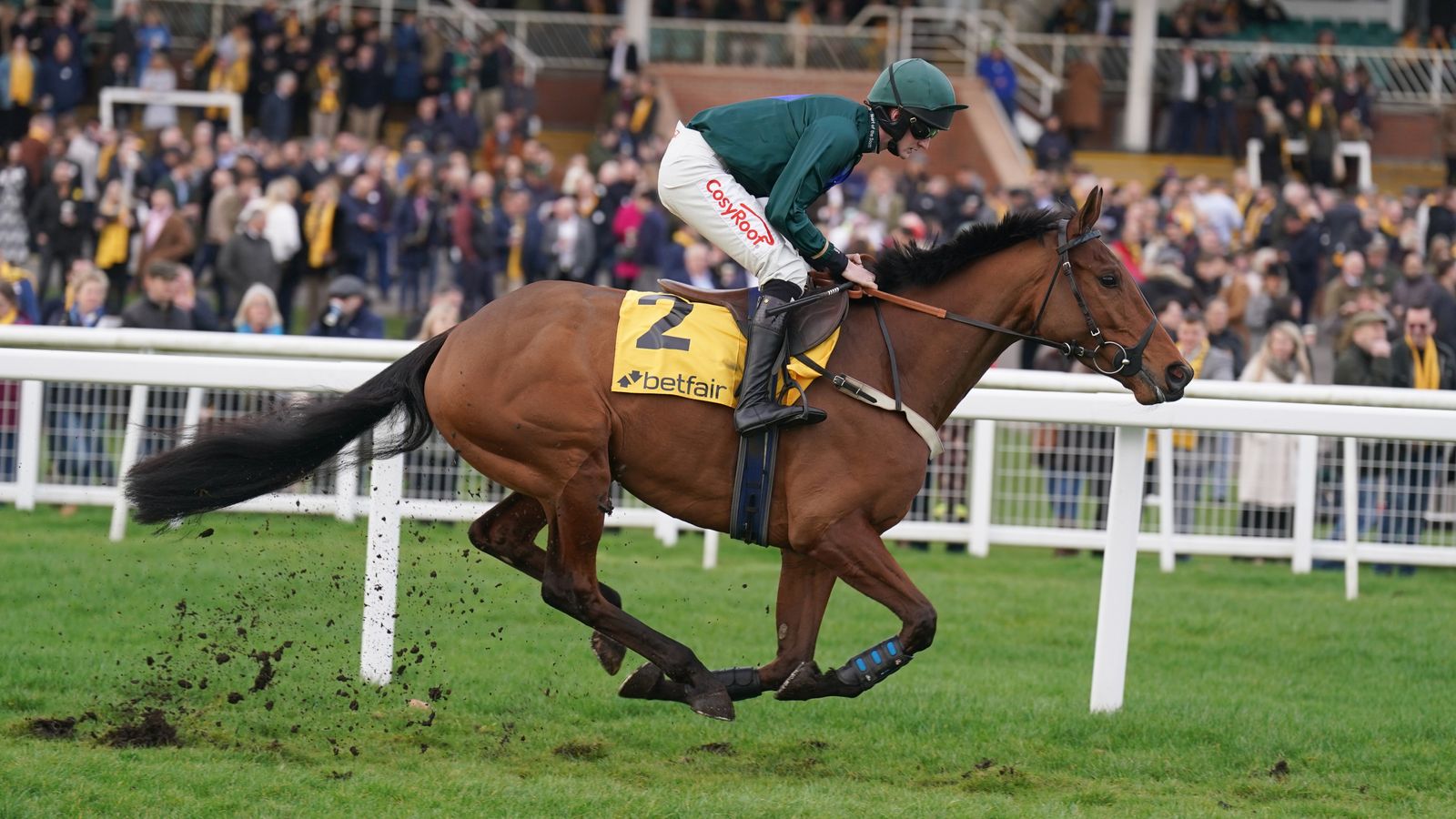 Plumpton tips: Hayley Moore's horses to follow on Sussex Champion Hurdle day on Sunday