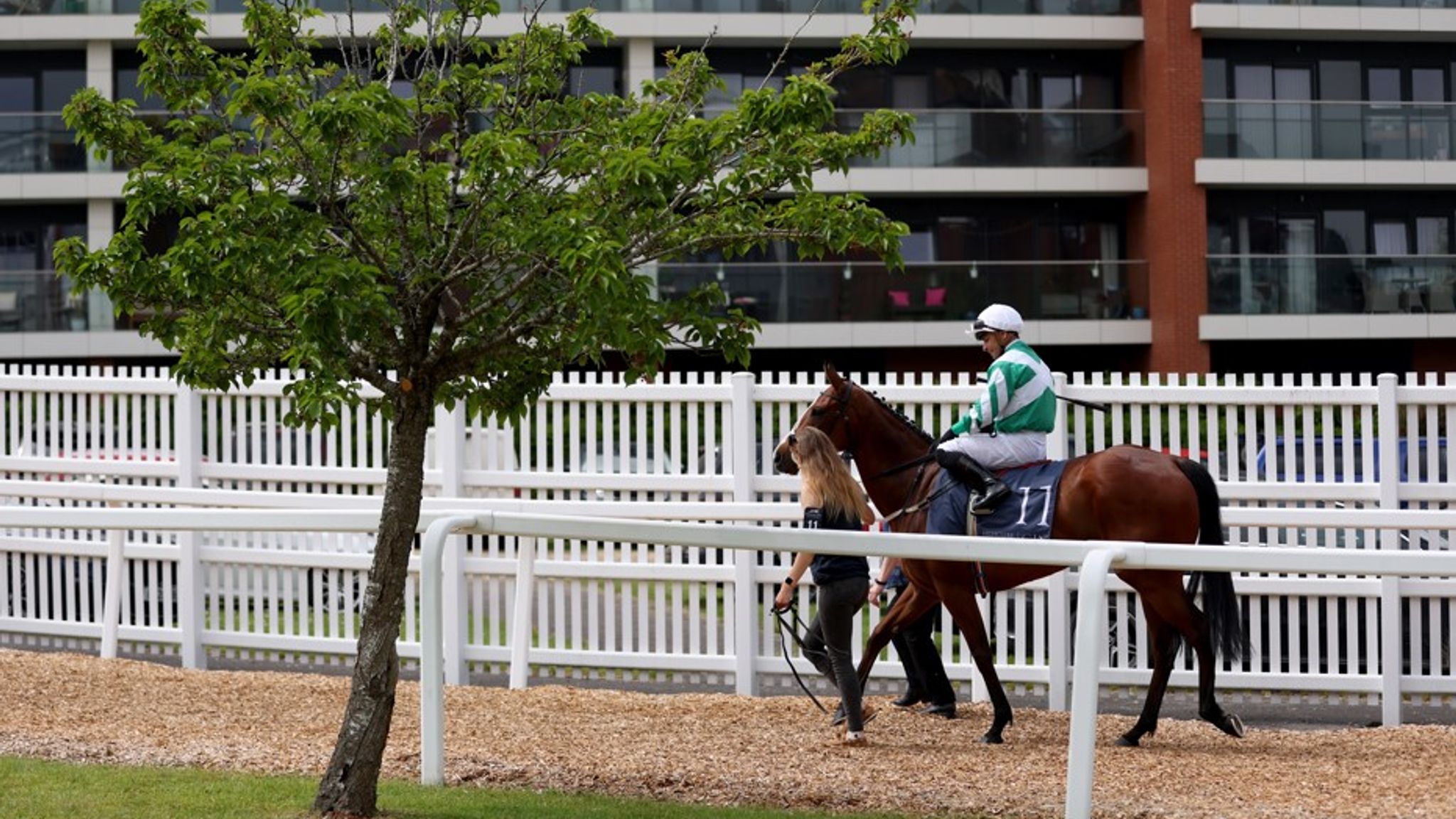 Today on Sky Sports Racing: Willie Mullins fields four in Sussex ...
