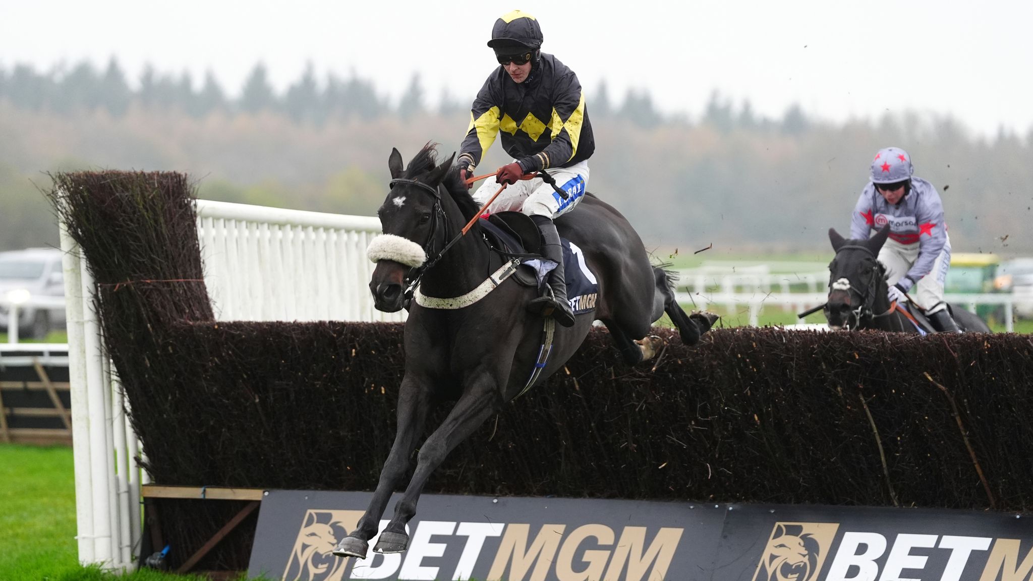 Today on Sky Sports Racing: JPR One headlines Sussex Champion Chase at ...