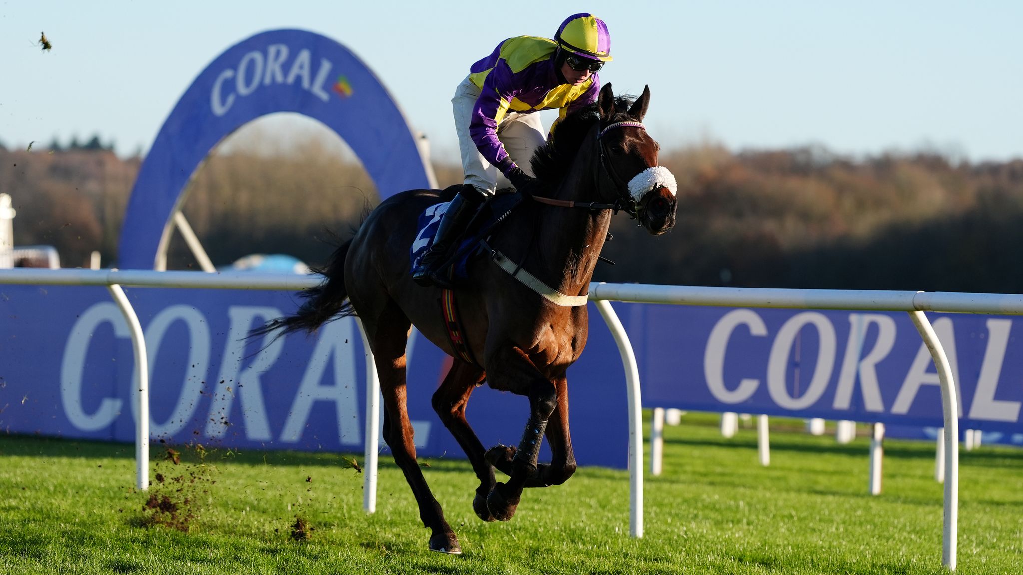 Sandown tips: Weekend Winners team pick their winners for the British ...