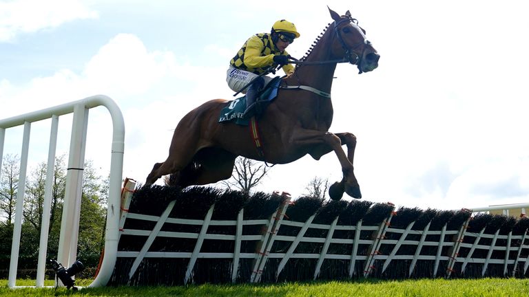 Daddy Long Legs runs for the Willie Mullins team