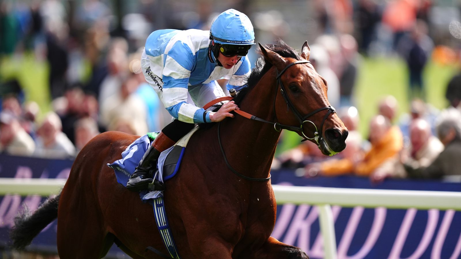 York: Pride Of Arras stakes Derby claims with impressive Dante Stakes performance with The Lion In Winter unplaced