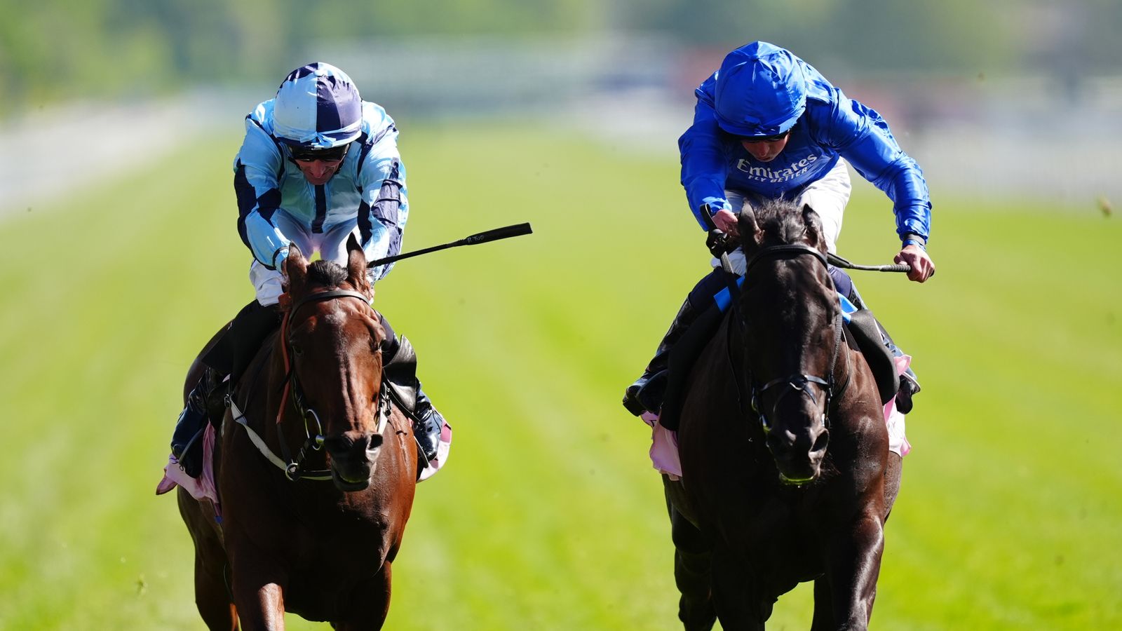 Rebel's Romance battles on to lift Yorkshire Cup for Charlie Appleby