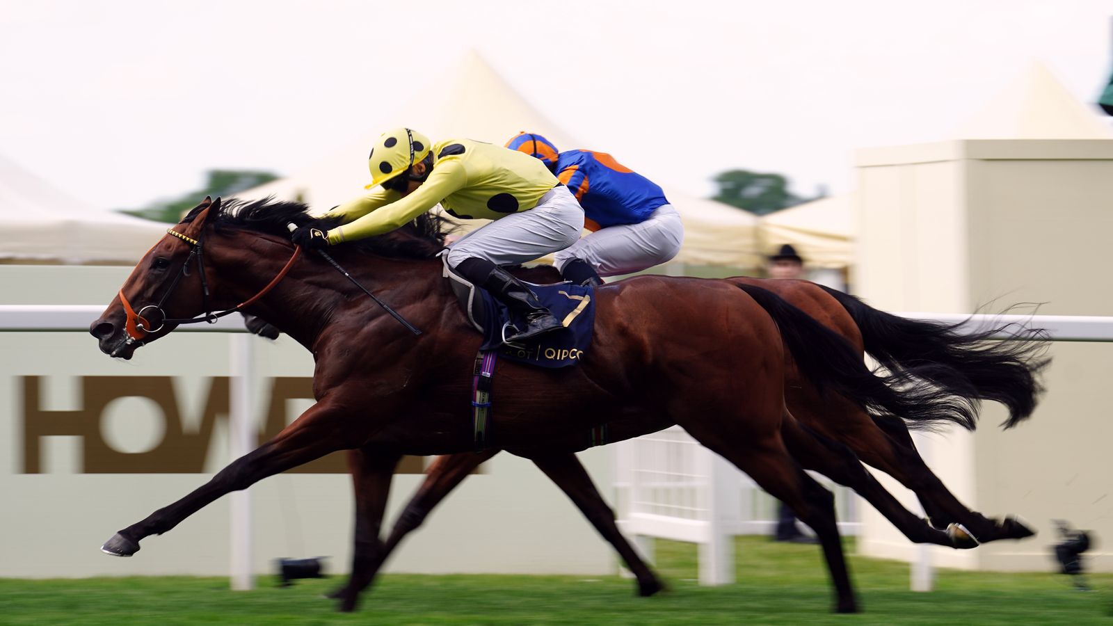 Newbury tips: Rosallion well-fancied to take Lockinge Stakes crown for Richard Hannon