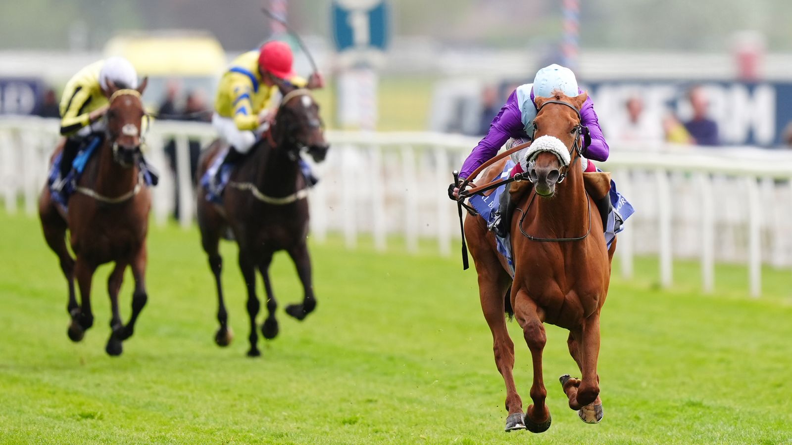 York: See The Fire dazzles as she wins Middleton Stakes by a dozen lengths under Oisin Murphy for Andrew Balding