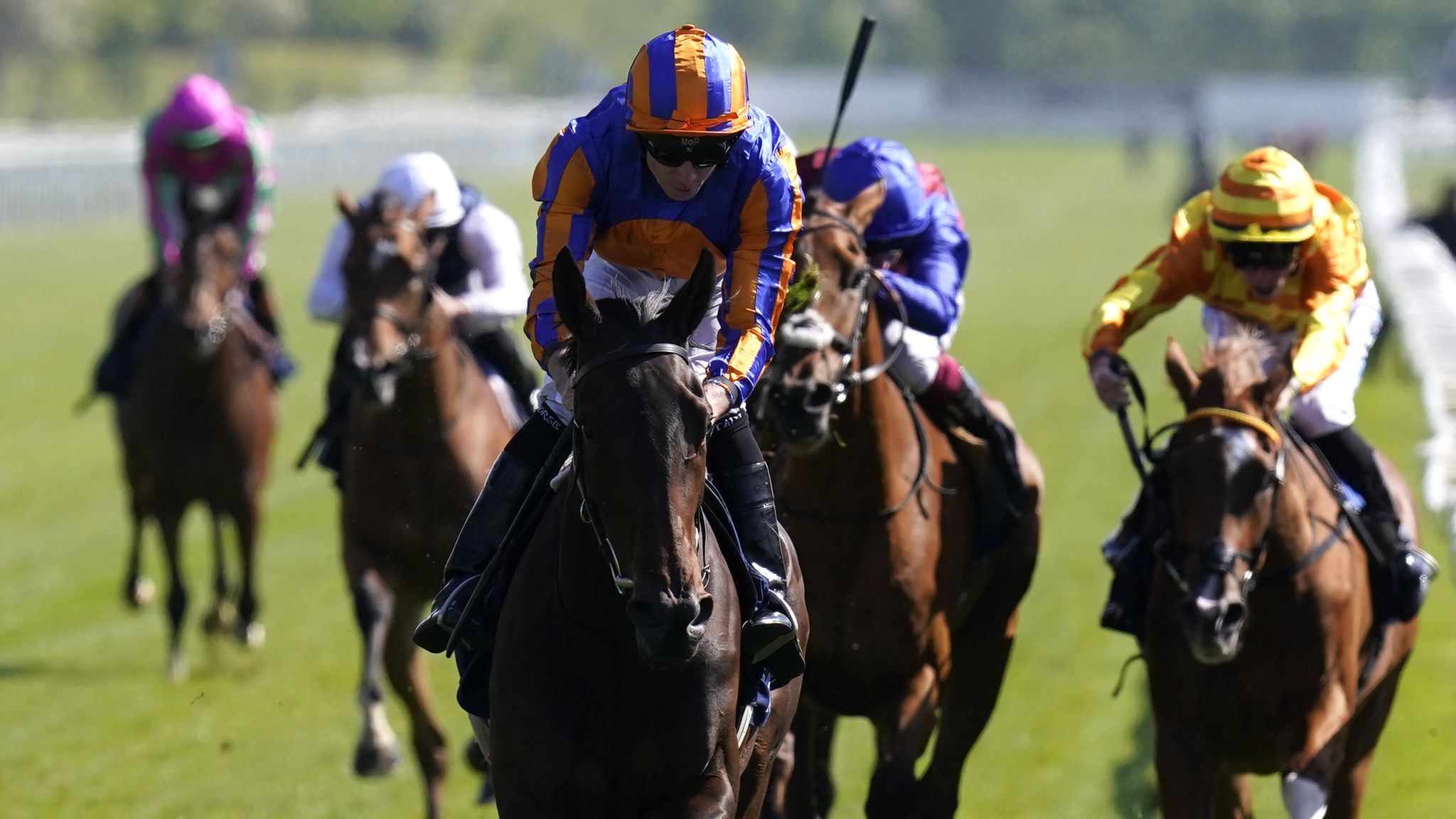 York Dante meeting: Whirl lands yet another Classic trial victory