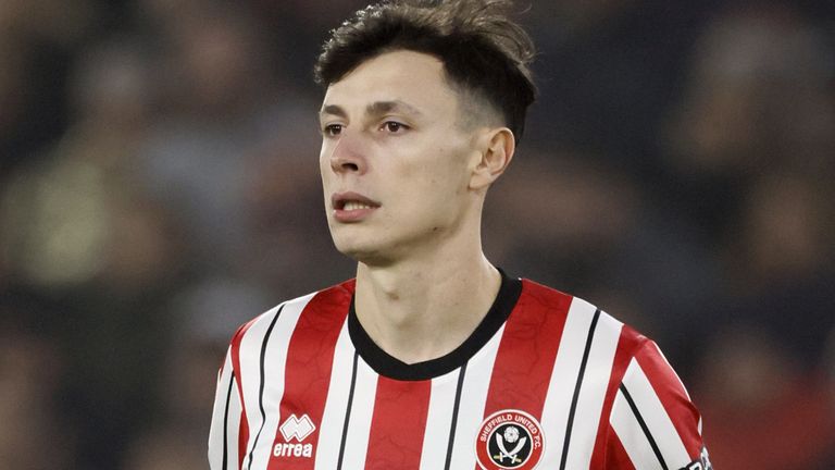 sheffield united
