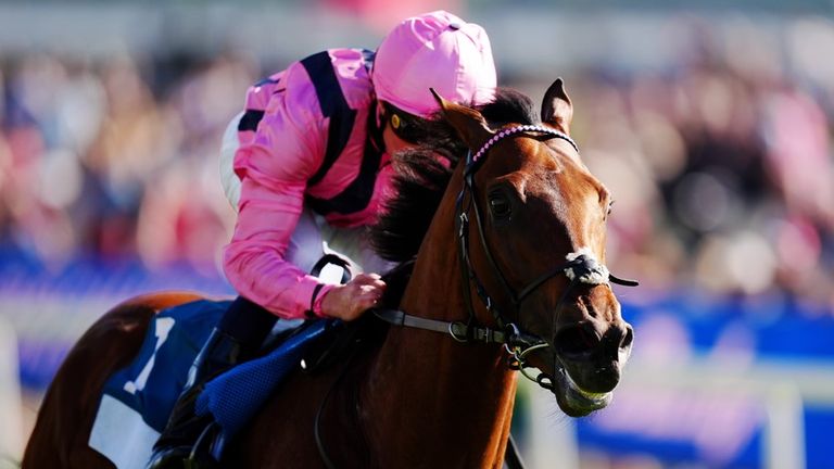 Bowmark represents the Gosden stable in Sunday's Classic