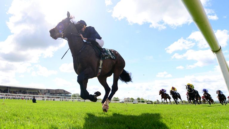 El entrenador de Charles Darwin y Ryan Moore Idan O'Brien Joy ((Heli Racing)