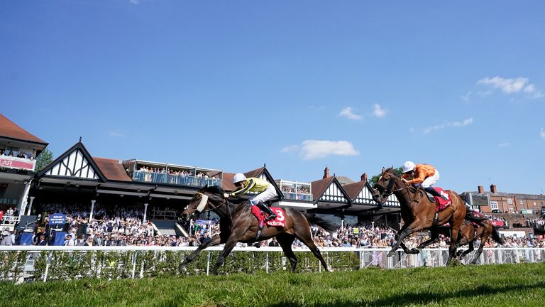 East India Dock ran out the winner of the Chester Cup