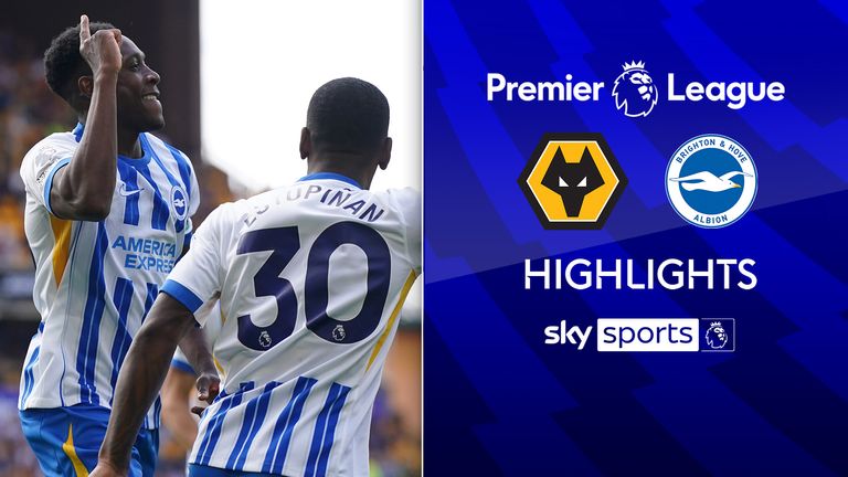 Wolves vs Brighton