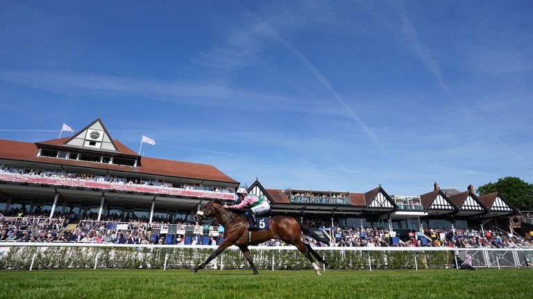 Hammer The Hammer finishes in splendid isolation at Chester