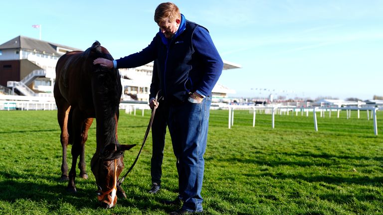 Shark Hanlon saddles Hewick for the French Champion Hurdle