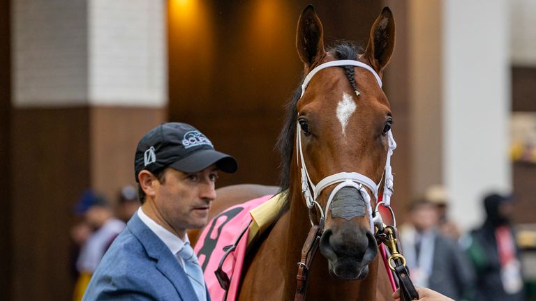 Journalism is the pre-race favourite for the Preakness Stakes