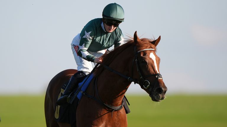 Nebras is the pick of Hollie Doyle's Newbury rides