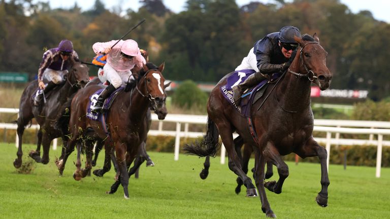 Ocean Of Dreams won on debut for former trainer Aidan O'Brien