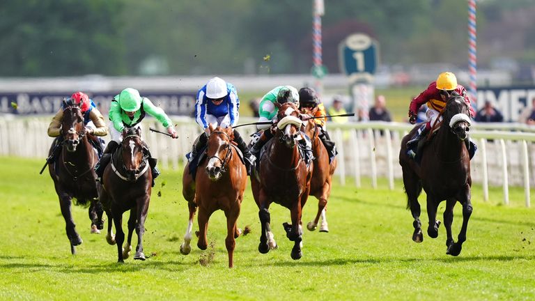 Tropical Storm takes out the Westow Stakes at York