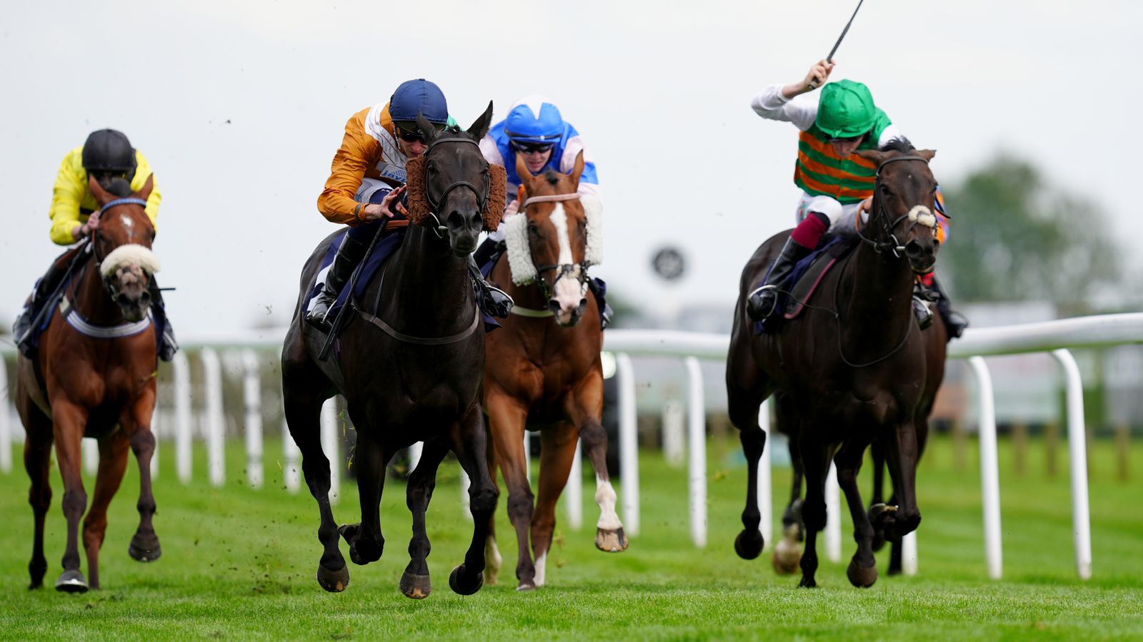 Today on Sky Sports Racing: Bath, Worcester and Happy Valley live on Wednesday