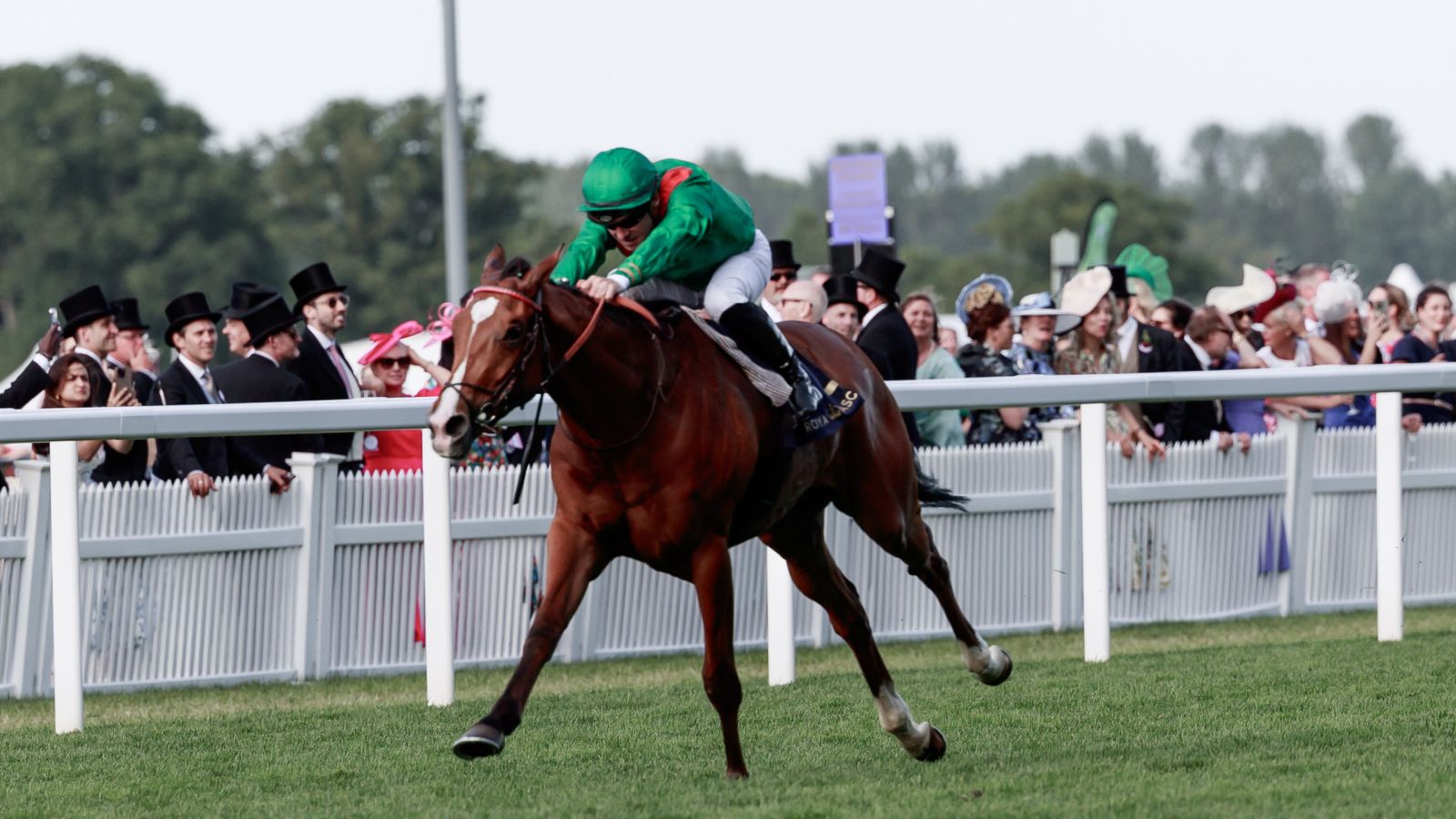 Grand Prix de Saint-Cloud: Calandagan breaks Group 1 hoodoo with battling success for Francis-Henri Graffard | Racing News