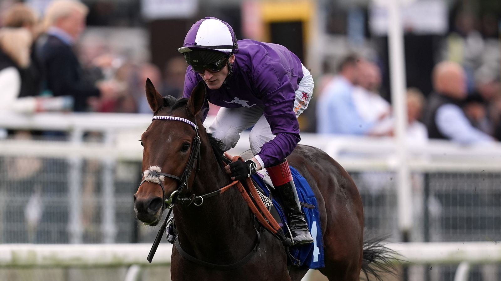 Derby tips: 66/1 fancy on Weekend Winners as team preview Saturday's Classic at Epsom plus Belmont Stakes