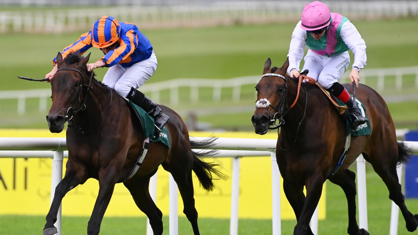 Whirl outbattles Kalpana in pulsating Pretty Polly Stakes at the Curragh