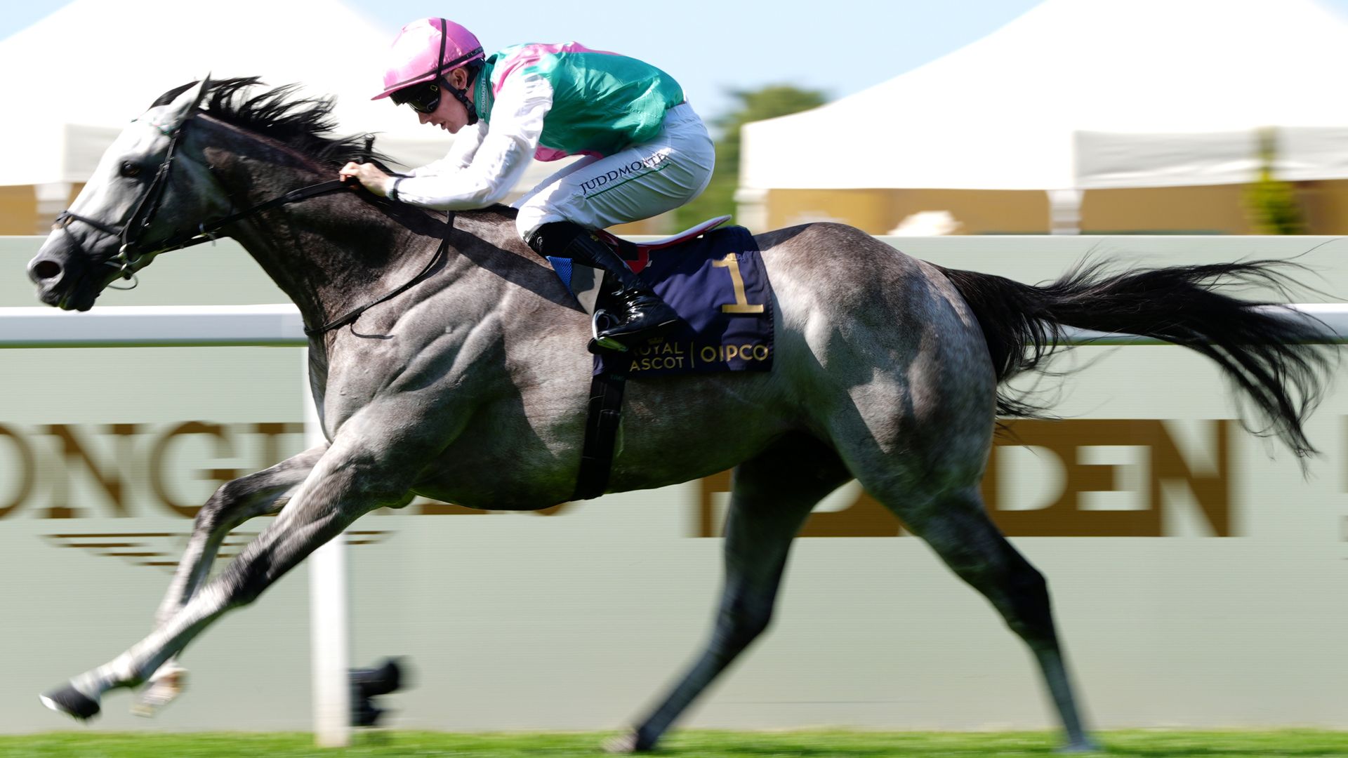 Field Of Gold stars at Royal Ascot in St James's Palace Stakes romp