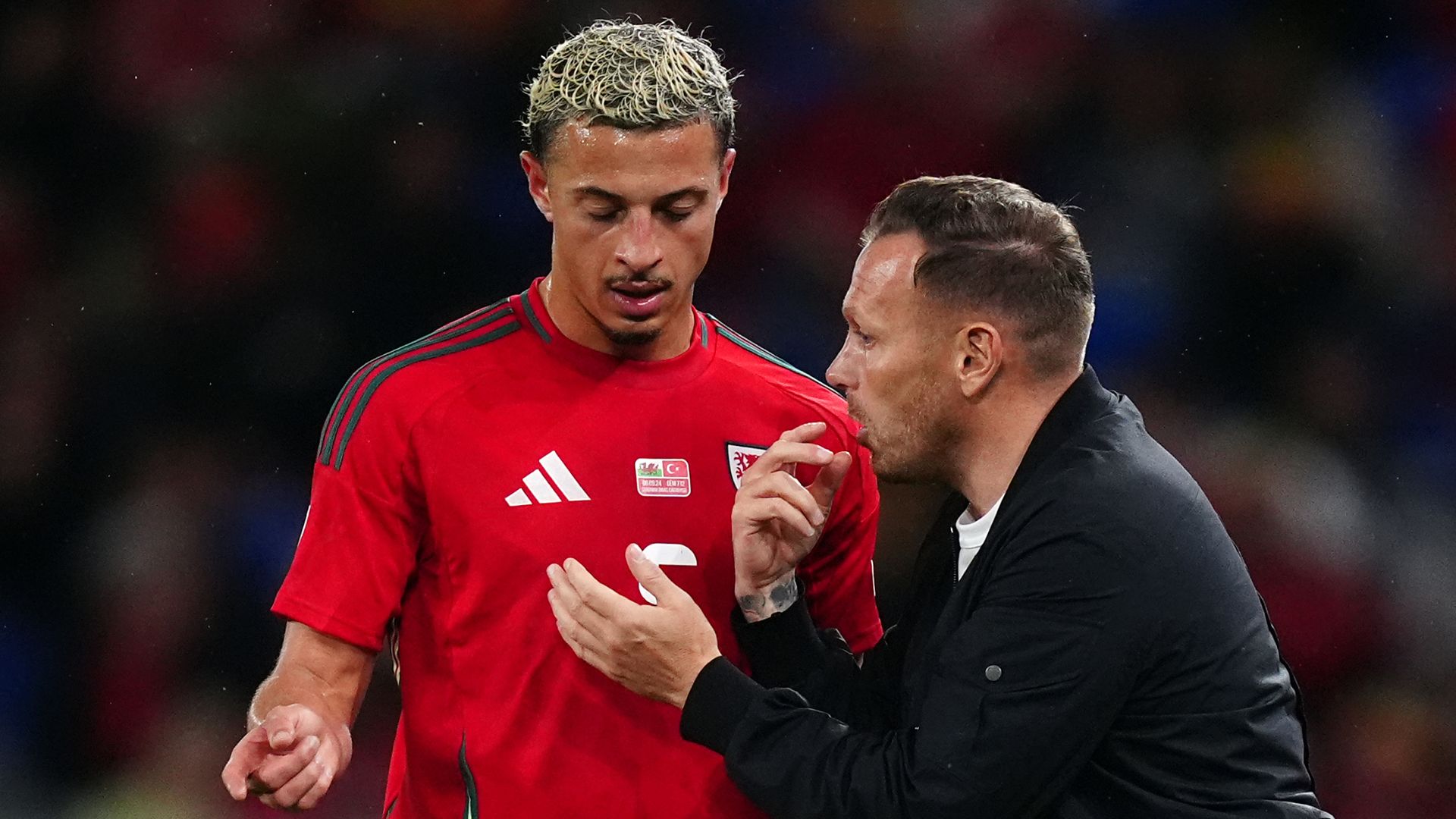 Belgium vs Wales preview: Bellamy hails 'best year of his life'
