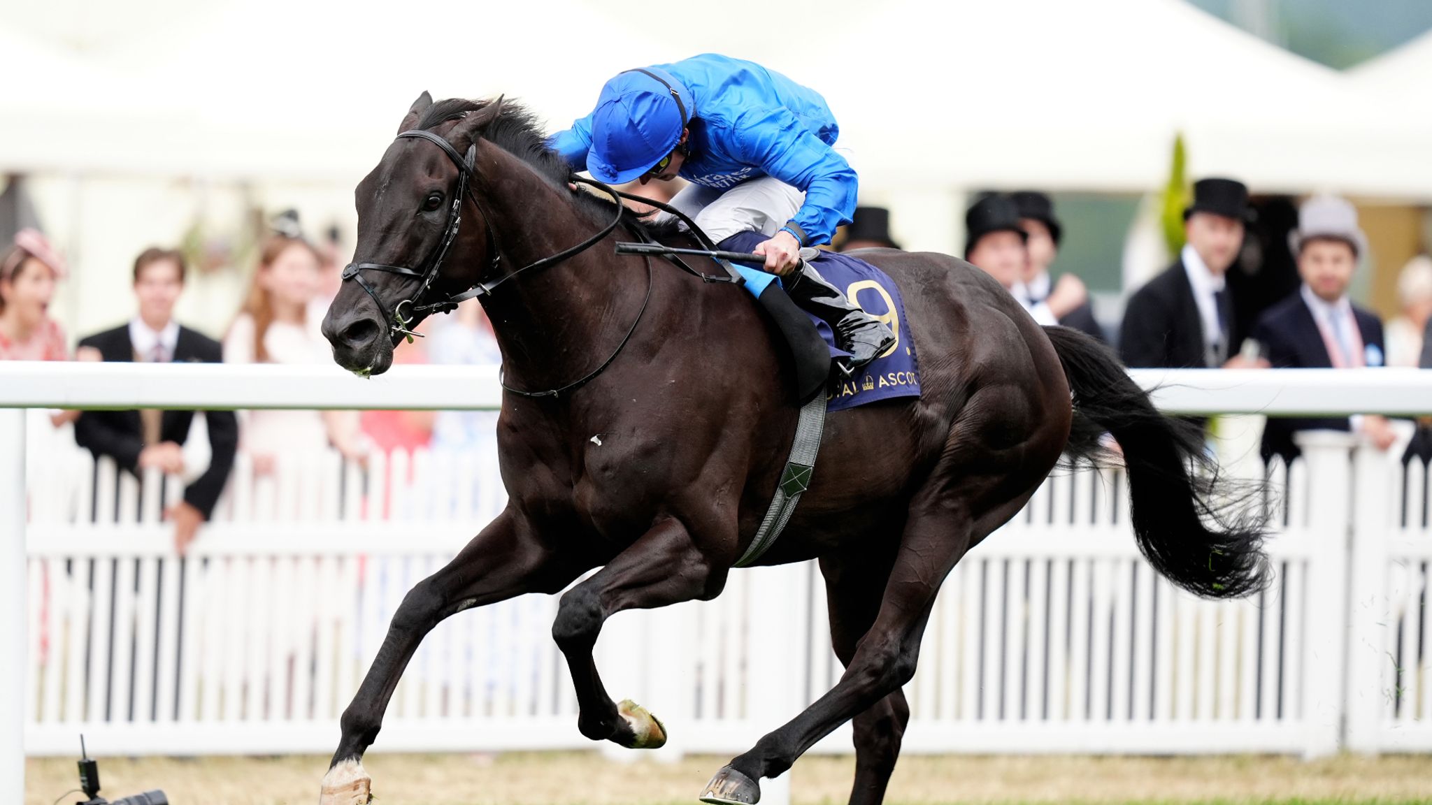 King George VI And Queen Elizabeth Stakes: Jamie Lynch's horse-by-horse ...