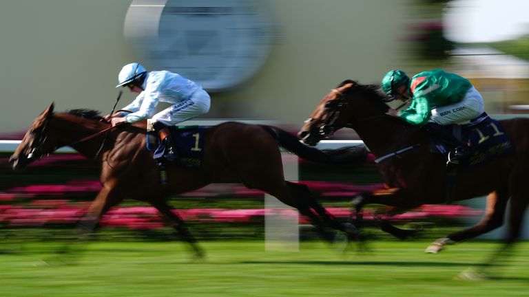 Amiloc scored at Royal Ascot