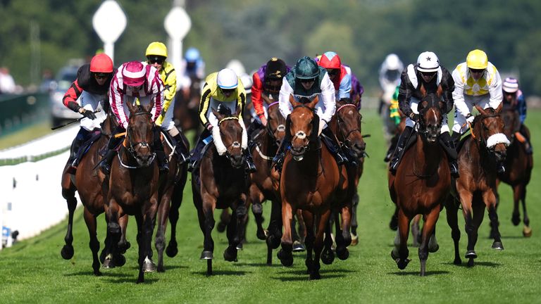 Ascendant (red and white) beats Nurburg in the issues of Ascot