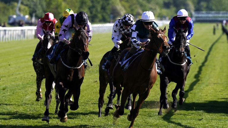 Ballistic Missile (second right) is one of Hannon's two-year-olds heading for the Royal meeting.