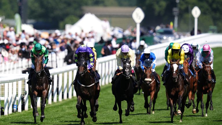 Carmers (purple and green) wins the Queen's Vase on day two of Royal Ascot