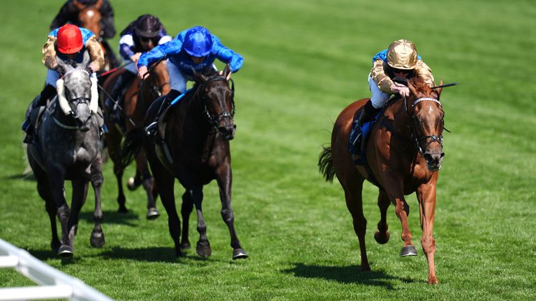 Crimson Advocate (gold cap) gets by Cinderella's Dream to win the Duke Of Cambridge Stakes