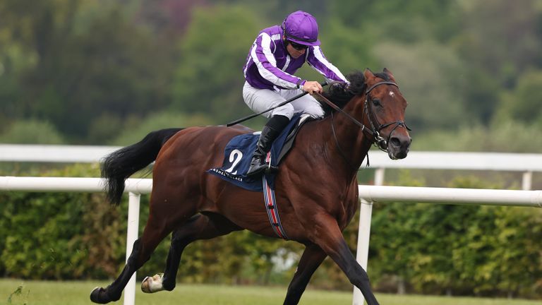 Delacroix and Wayne Lordan on their way to winning the Leopardstown Derby Trial